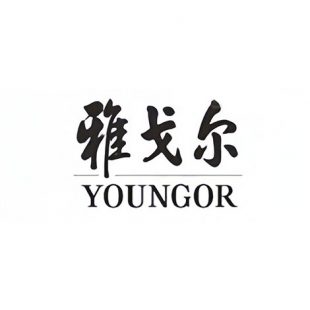 YOUNGOR